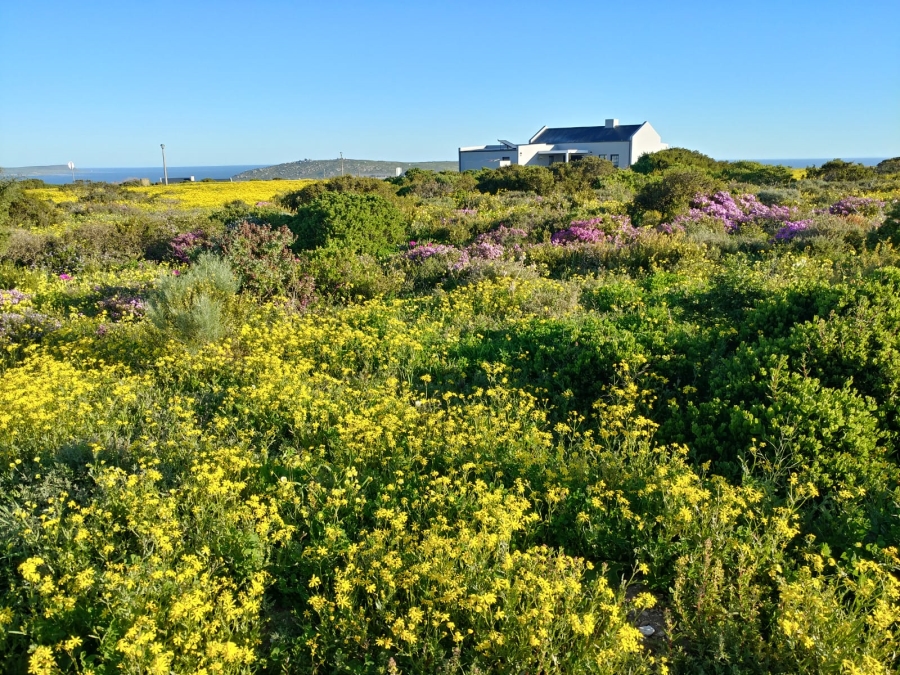 3 Bedroom Property for Sale in Hoogland Western Cape